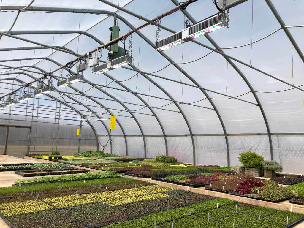 Sollum?s smart LED lighting solution for greenhouse growers gets $5 million investment